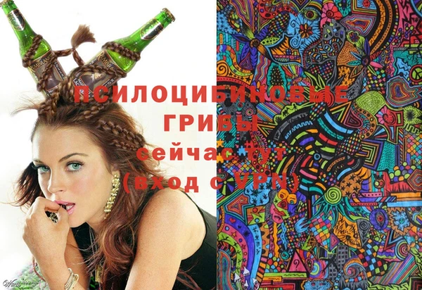2c-b Балахна