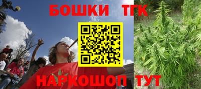 шишки Вышний Волочёк