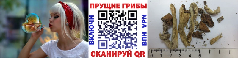 Галлюциногенные грибы GOLDEN TEACHER  где найти   Белово 