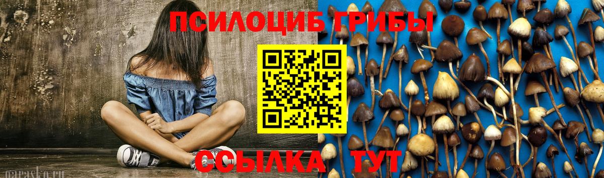 Псилоцибиновые грибы GOLDEN TEACHER  Вход с VPN  Белово 