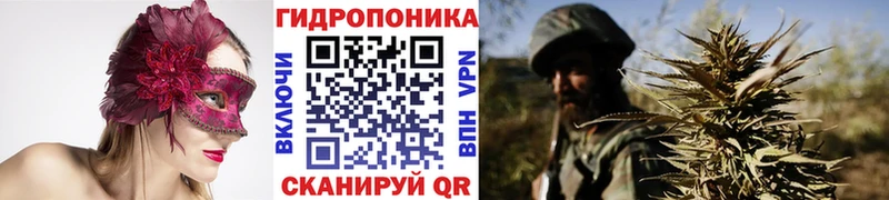 МАРИХУАНА конопля Белово
